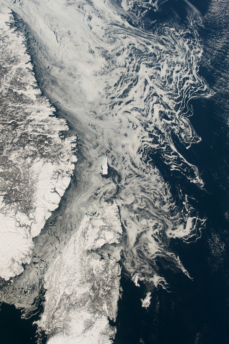 NASA Earth tweet media