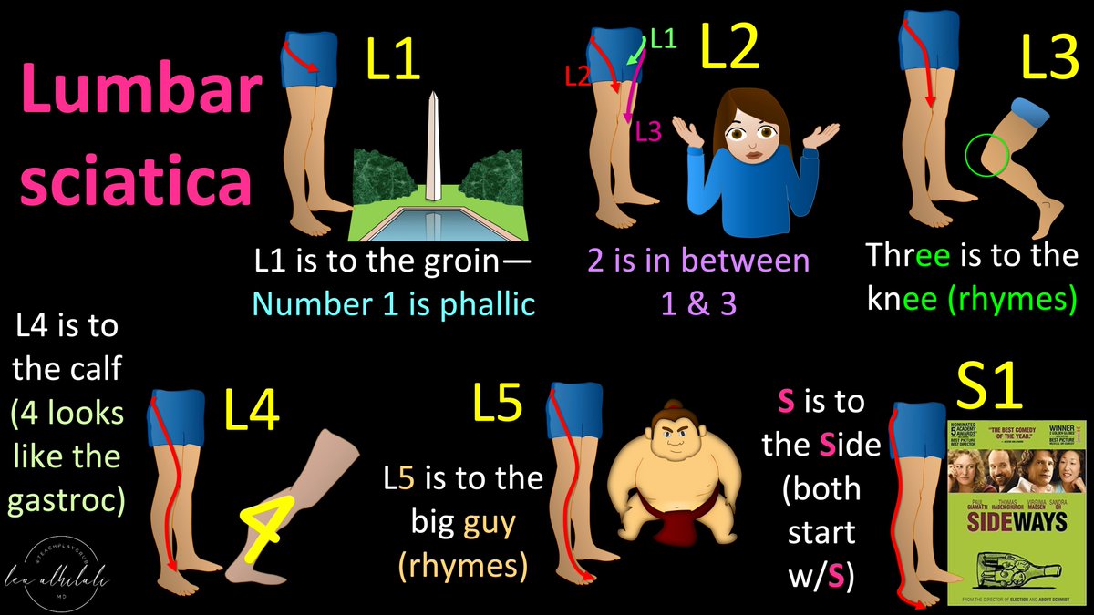 Tell Me Where It Hurts How Back Pain Radiates Can Tell You Where The tell-me-where-it-hurts-how-back-pain-radiates-can-tell-you-where-the