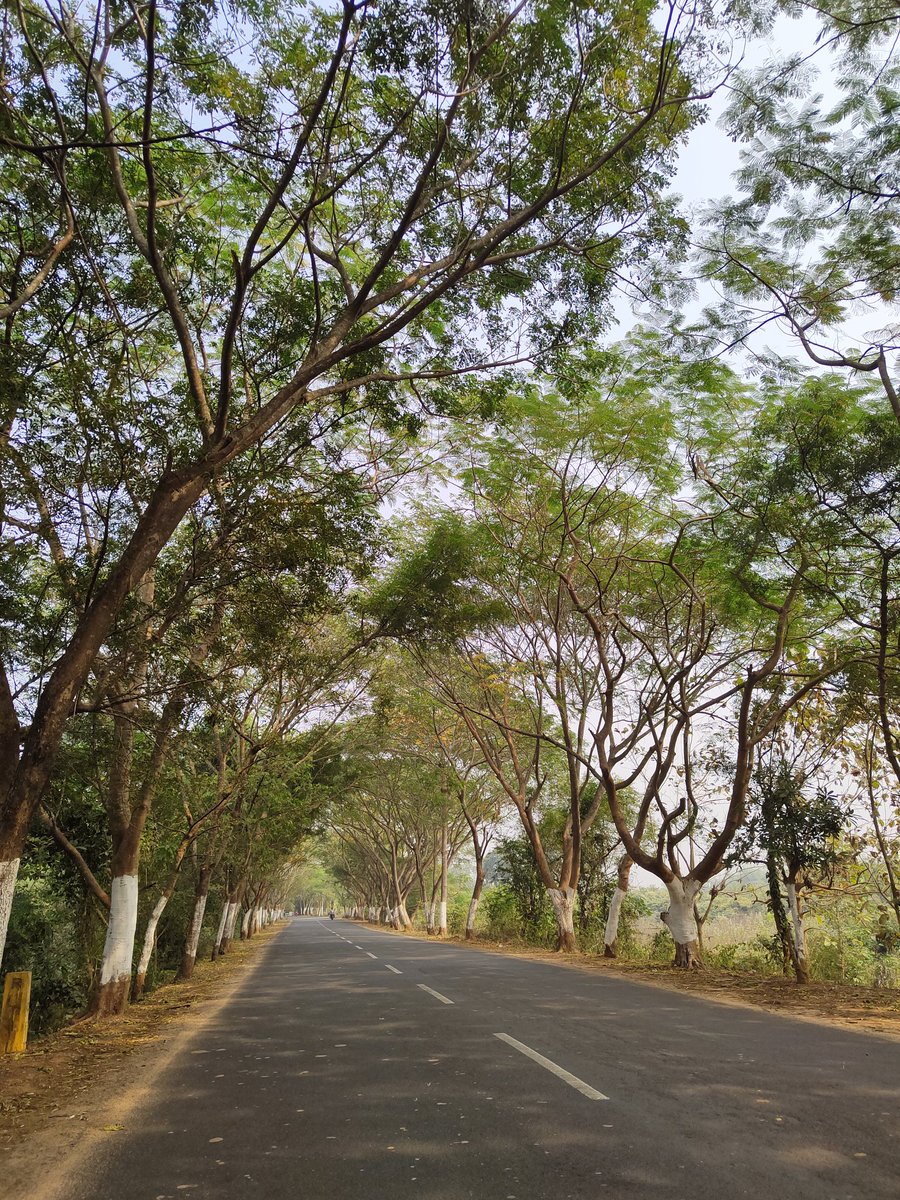 swastiksuman4's tweet photo. Bike ride into the scenic beauty of Rural Odisha...
#Odisha #Rural #VILLAGE #Villageroad #countryvibes #beauty #beautifulroad https://t.co/ixkcpbJ3AE