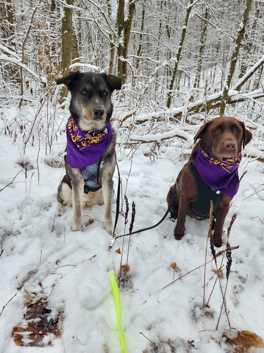 Deborah MacLatchy (@laurierpres) on Twitter photo Happy New Year! I hope everyone in the <a href="/Laurier/">Wilfrid Laurier University</a> community had the chance to rest and spend time with loved ones. Over the holidays, Keltie, Fergus and I enjoyed our long walks through Waterloo. Happy New Year! I hope everyone in the <a href="/Laurier/">Wilfrid Laurier University</a> community had the chance to rest and spend time with loved ones. Over the holidays, Keltie, Fergus and I enjoyed our long walks through Waterloo.