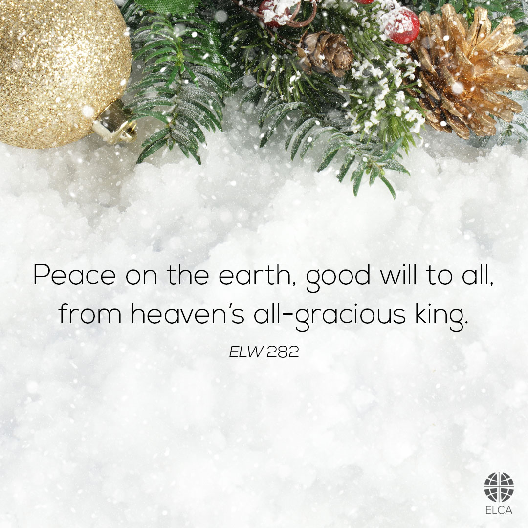 Today is the ninth day of Christmas. ✨ ''Peace on the earth, good will to all, from heaven's all-gracious King.' The world in solemn stillness lay to hear the angels sing' (ELW 282).