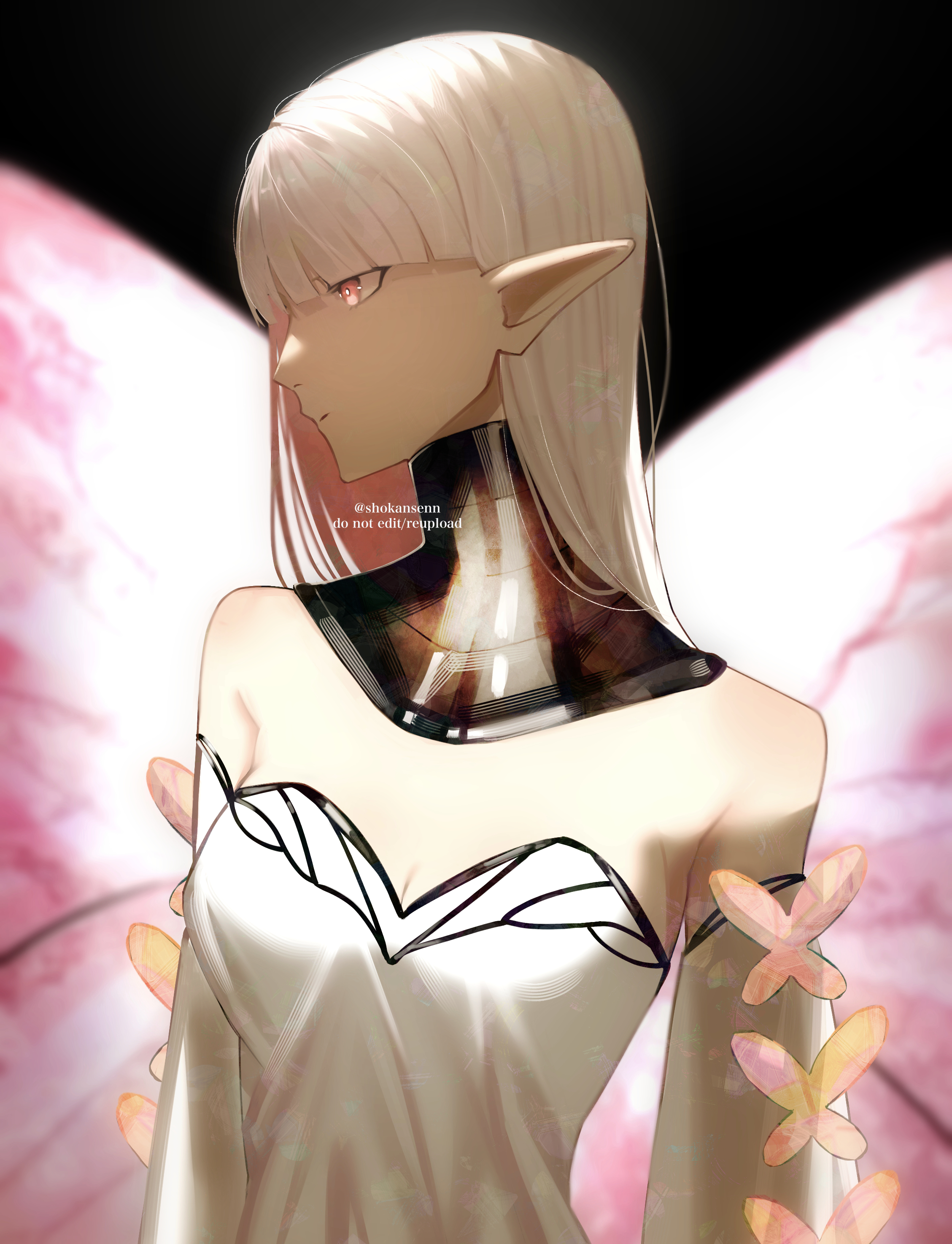 月の珊瑚　FGO 月の珊瑚 (つきのさんご)とは【ピクシブ百科事典】