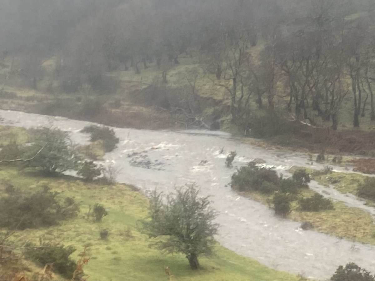 cathyswales's tweet image. Today was a very wet pawtrol! My river has grown IMMENSELY!! I wasn’t allowed in it but there was loads of puddles to run through!! @ZombieSquadHQ #wetday #puddles #splishsplash