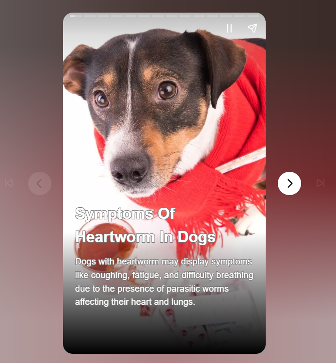 Is Your Dog At Risk of Heartworm? 🚨 

Learn to spot the early signs like persistent coughing and unusual fatigue. Understanding these symptoms can be lifesaving for your pet. 

Stay informed for their well-being.

webstories.today/watch/symptoms…