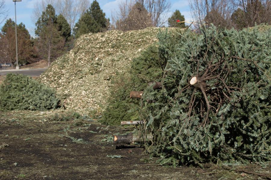 MARCKCMetro's tweet photo. Give your natural holiday trees, wreaths and garlands a second life by recycling them. @RecycleSpot compiled a list of pick-up and drop-off options in the #KCregion.
Most services are free.
Remember to remove decorations, stands and plastic bags! https://t.co/2varQwCpOR https://t.co/5PabAuoR1W