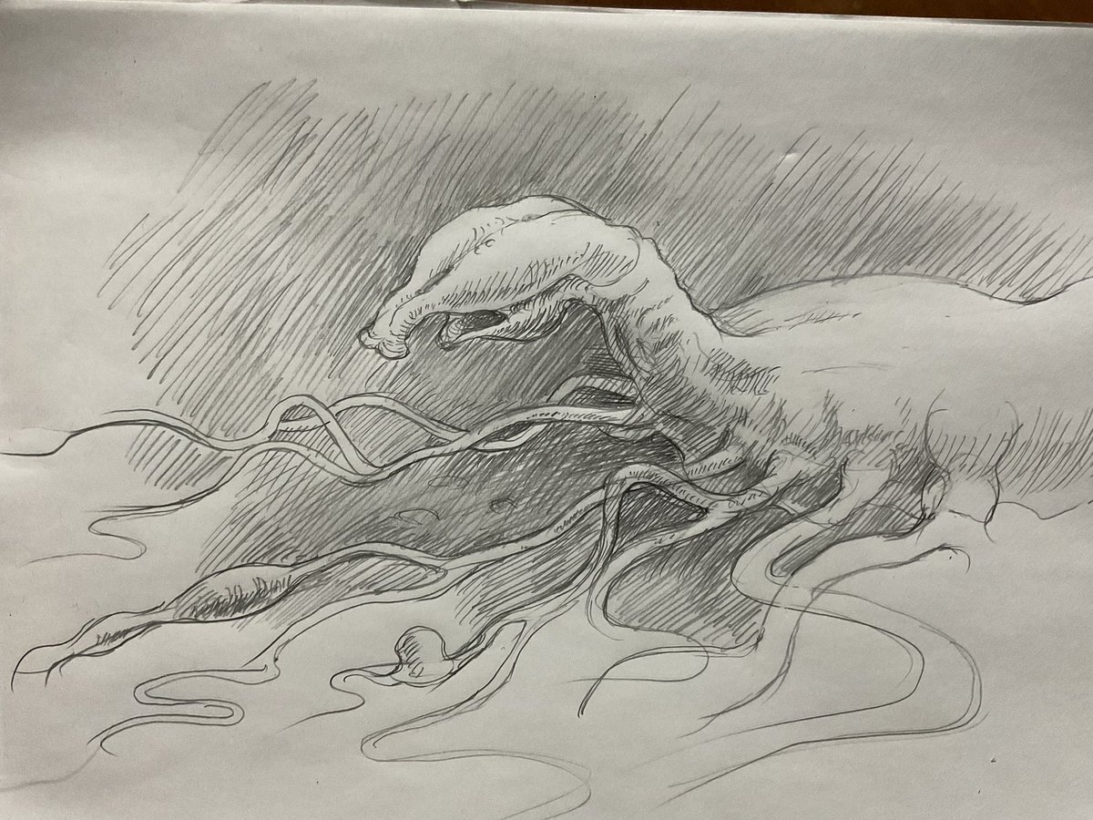 sakuba's tweet photo. 初夢
脳の無い、腸だけで構成された生物が世界の原理を現しており、腸のネットワークとその運動の中にはあらゆる喜びと残酷さが生起し続けている。その運動の内側と外側に同時に触れた気持ちになって興奮しながら目が覚めた。 https://t.co/6pmVB1l1WL