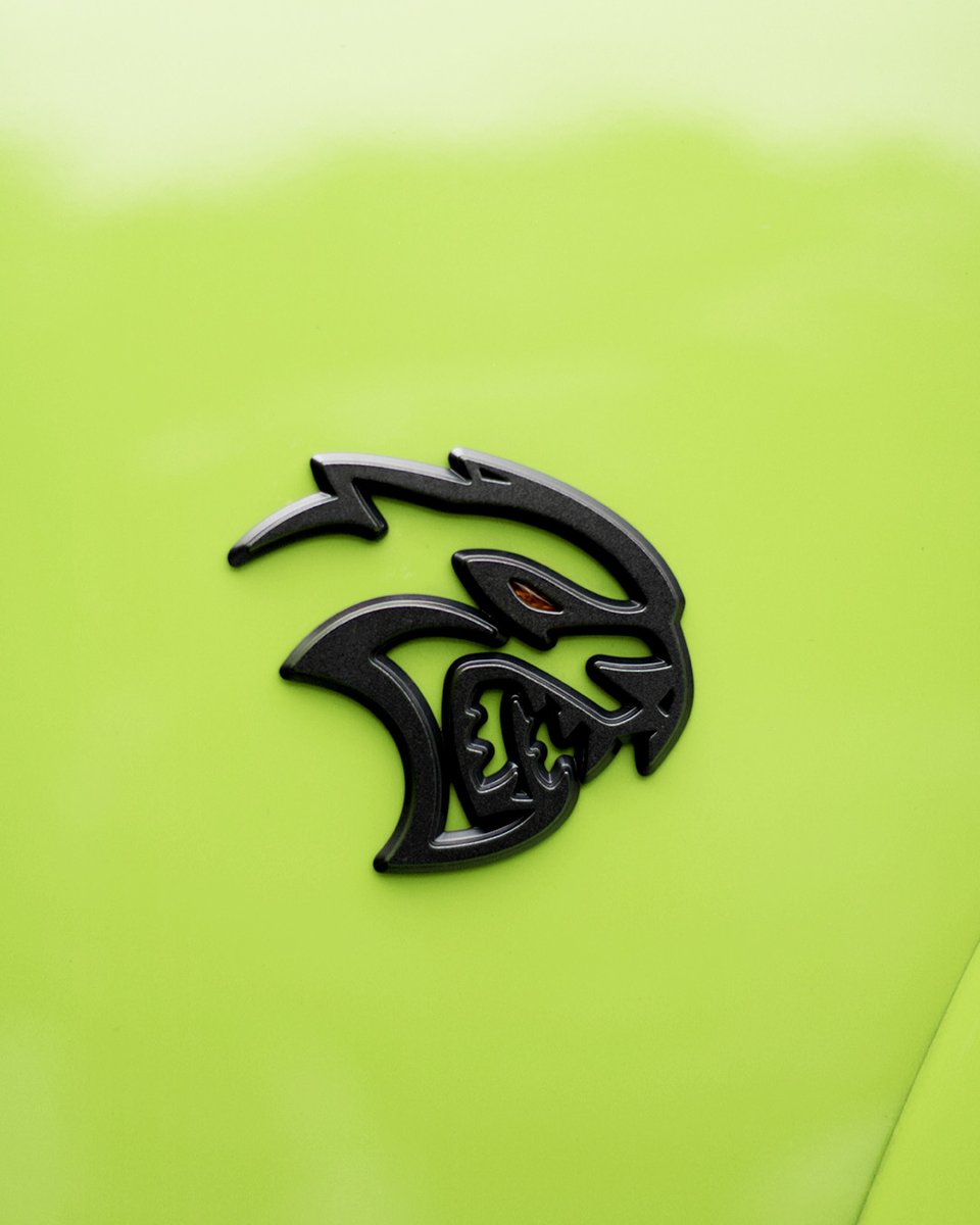 Stealing the scene.
#DodgeCharger