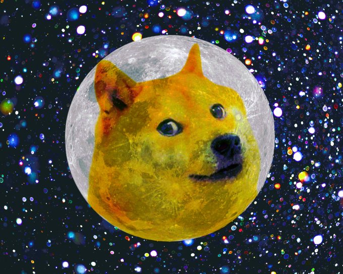 Taylor Vale tweet media