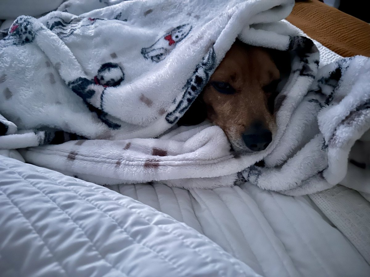 Not interested in this “new year, new me” 😜