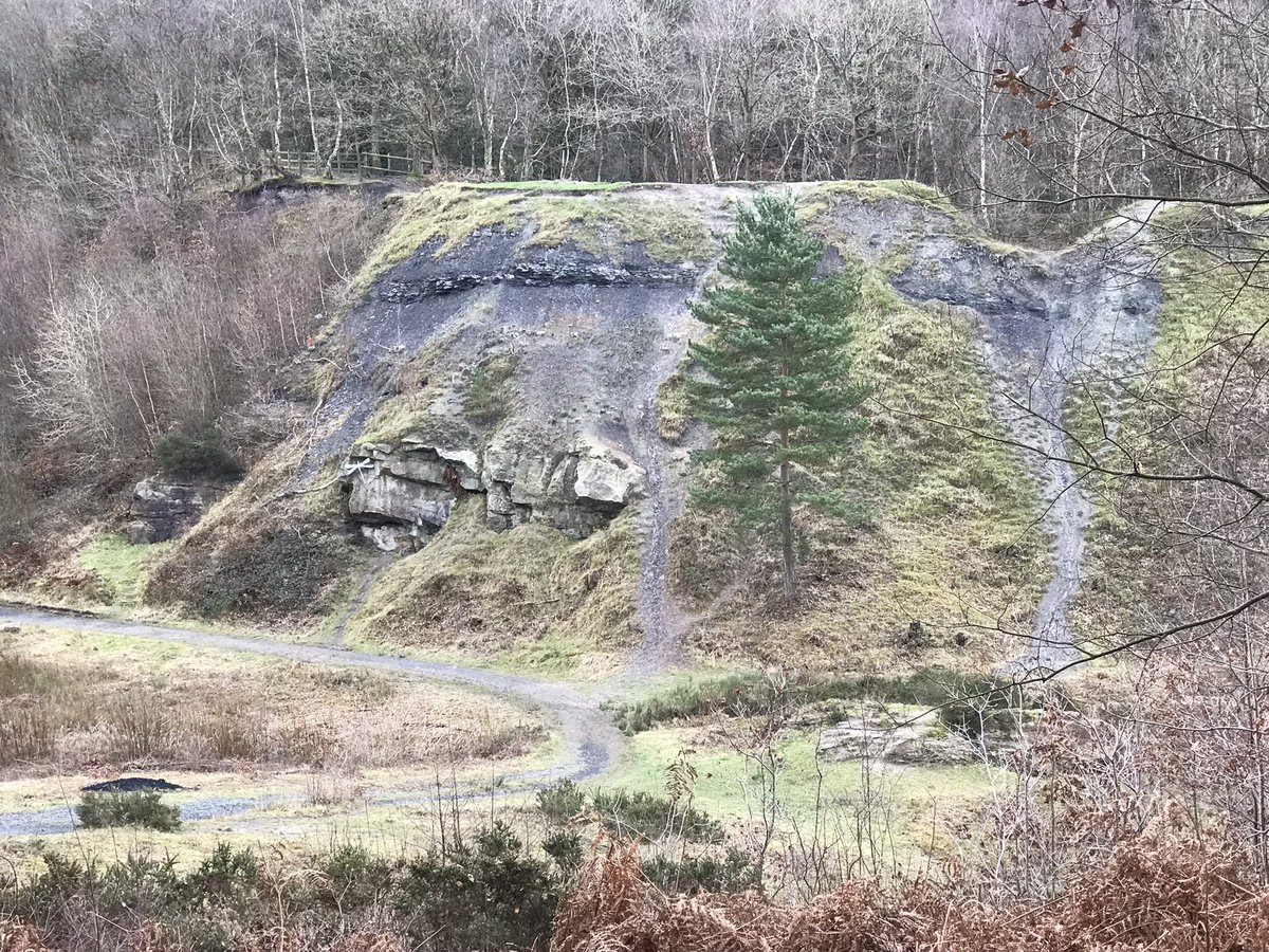 coal_legacies's tweet photo. Can’t believe it’s been over a week since wandering in and around Doulton’s Clay Pit #Saltwells #Dudley worked for #coal #marl and #fireclay from 1880s through the 1940s. Now a #SSSI and one of the #UNESCO #BlackCountry #GeoPark sites
#miningheritage #industriallandscape #explore https://t.co/RxvINbcaQ1