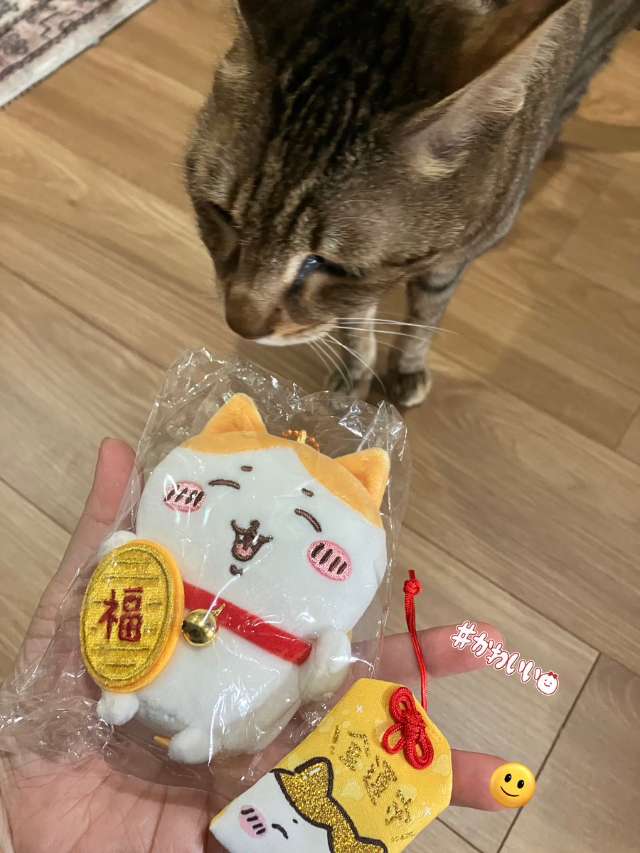 カコ🐈‍⬛🐈⸒⸒⸒ (@kako178) / Posts / X