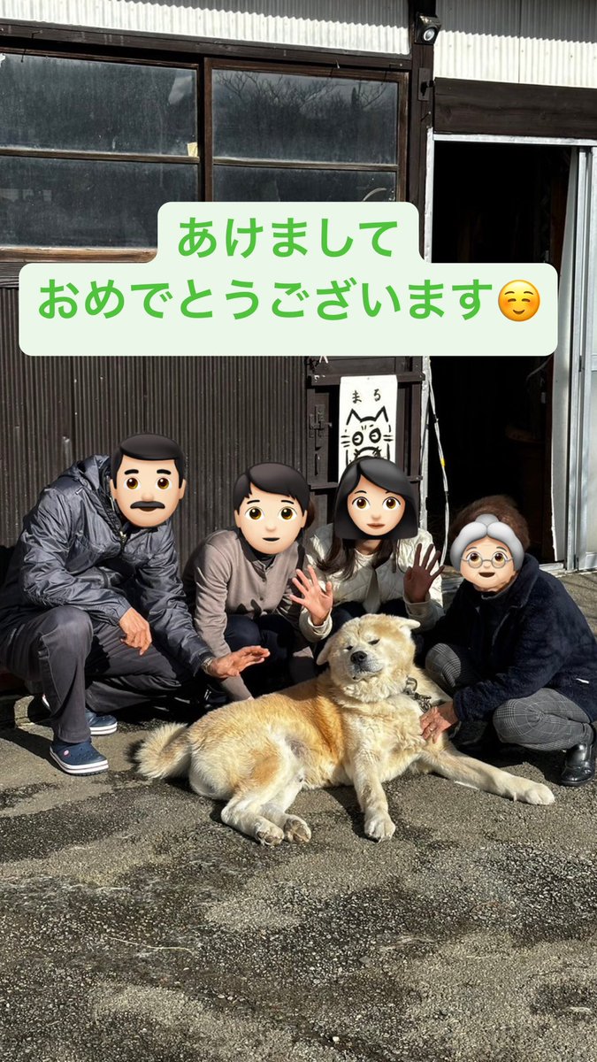 秋田犬まる (@akitainu_maru) / Posts / X