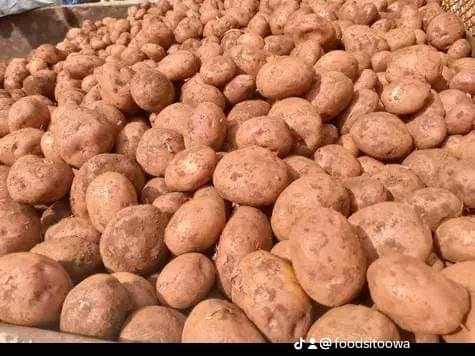 FOOD Sitoowa tweet media