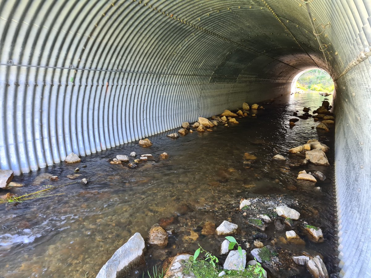 NMBU-webinar 8. januar: Stream restoration and shoreline remediation for salmon recovery in Alaska. facebook.com/events/3337507…