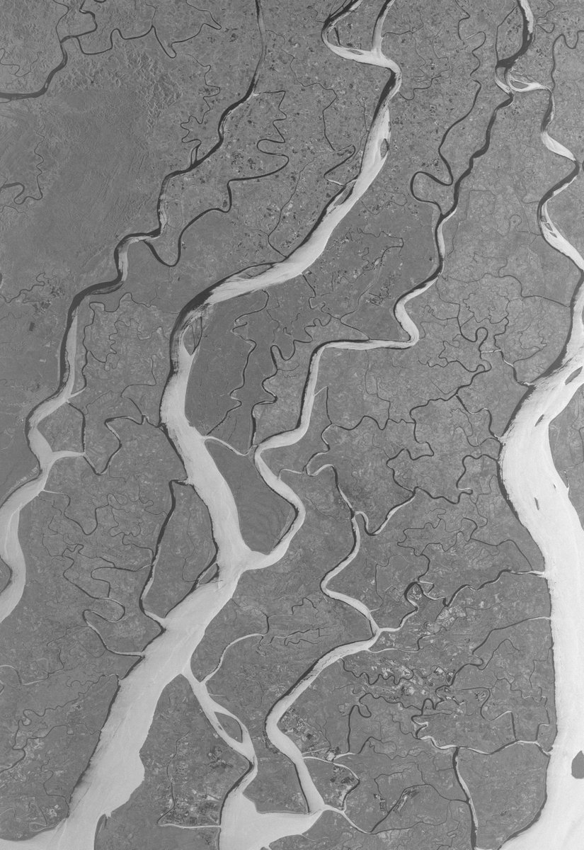 .@ICEYEfi's SAR Radar (VHR) captured Myanmar's Irrawaddy region, a major rice-producing area. The 4 states in the Irrawaddy River Delta contribute significantly to the country's rice crop. @ESA's catalog access: earth.esa.int/eogateway/cata… Dissemination map: tpm-ds.eo.esa.int/smcat/ICEYE/