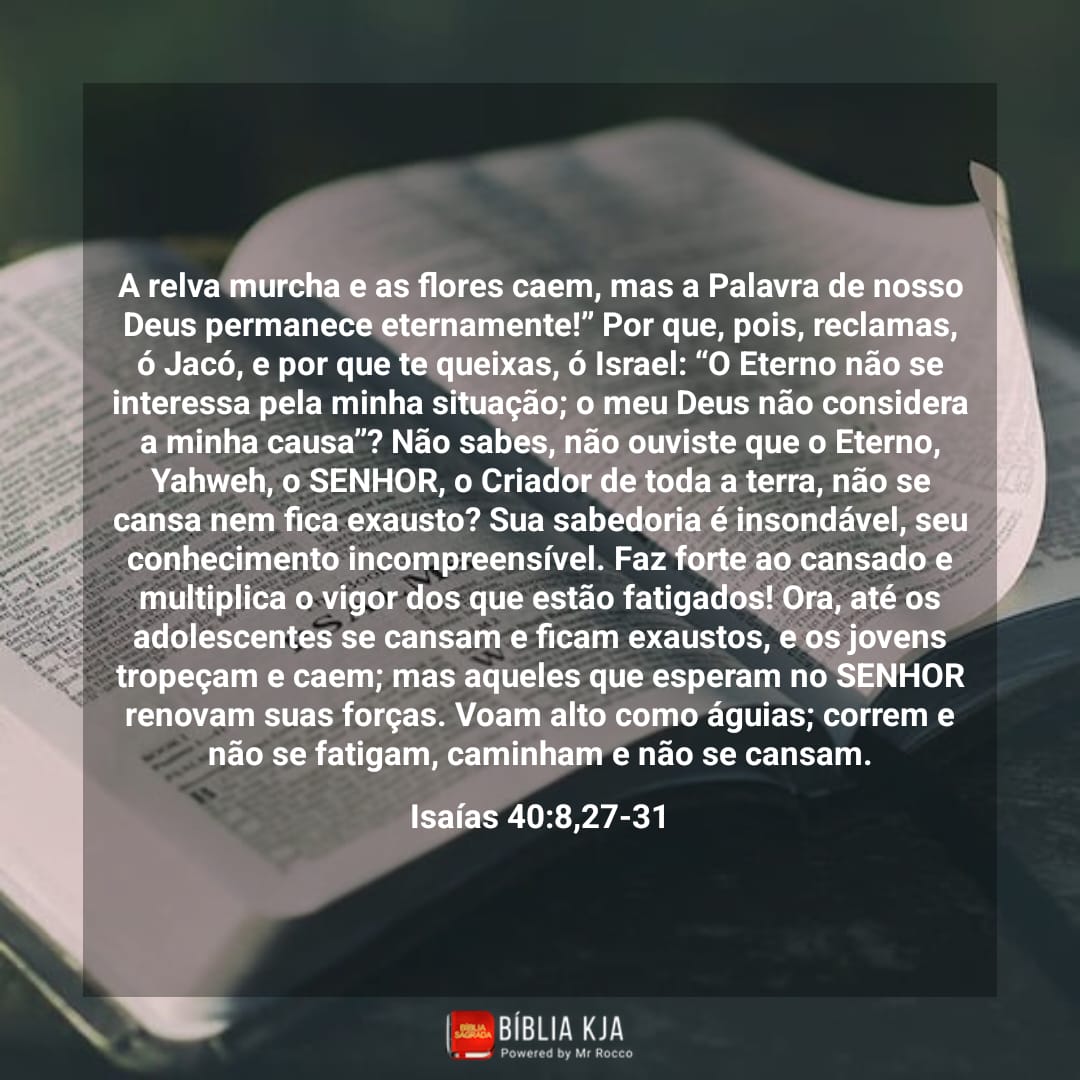 Jeanbsilva's tweet photo. Que excelente esperança para um início de ano, o SENHOR mantém sua palavra intacta e Ele irá cumprir o que prometeu a seu povo. O SENHOR tbm renove nossas forças através de suas promessas cumpridas e elas nos tragam vigor para ir além do que imaginamos. #rpsp #Isa40 https://t.co/Vq6N3QZGLn