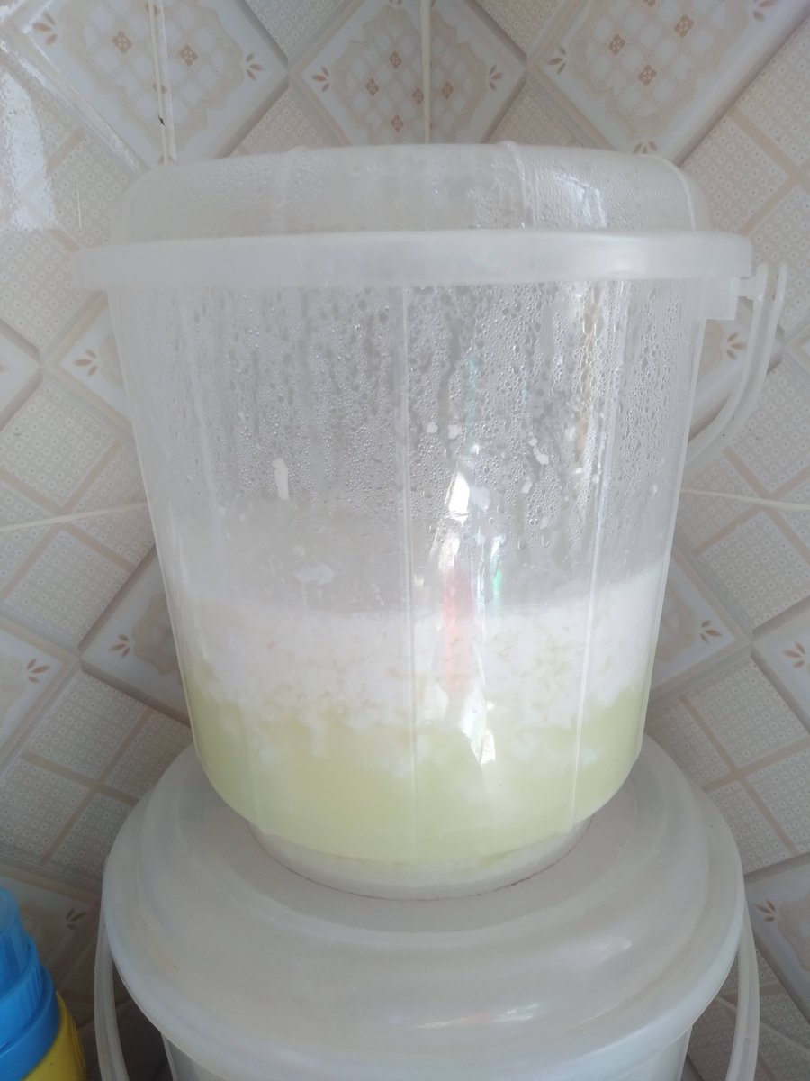 abuyamasta's tweet photo. I will be selling fermented milk 
Place your order here 0726594744 https://t.co/APmCTgTu2a