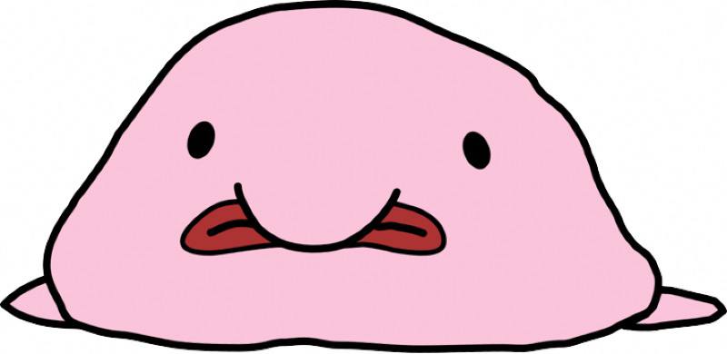 UglyBlobSol's tweet photo. This ugly $BLOB is live!

Come trade it around here: 

5TiWmMBHUt4s8WZqFtL6TYeGqSn1a5LXTguHavPQp6B6

Info about Blob: https://t.co/kdufhRSJkw

Telegram: https://t.co/3OLksoUX2D https://t.co/bywvQLTSDB