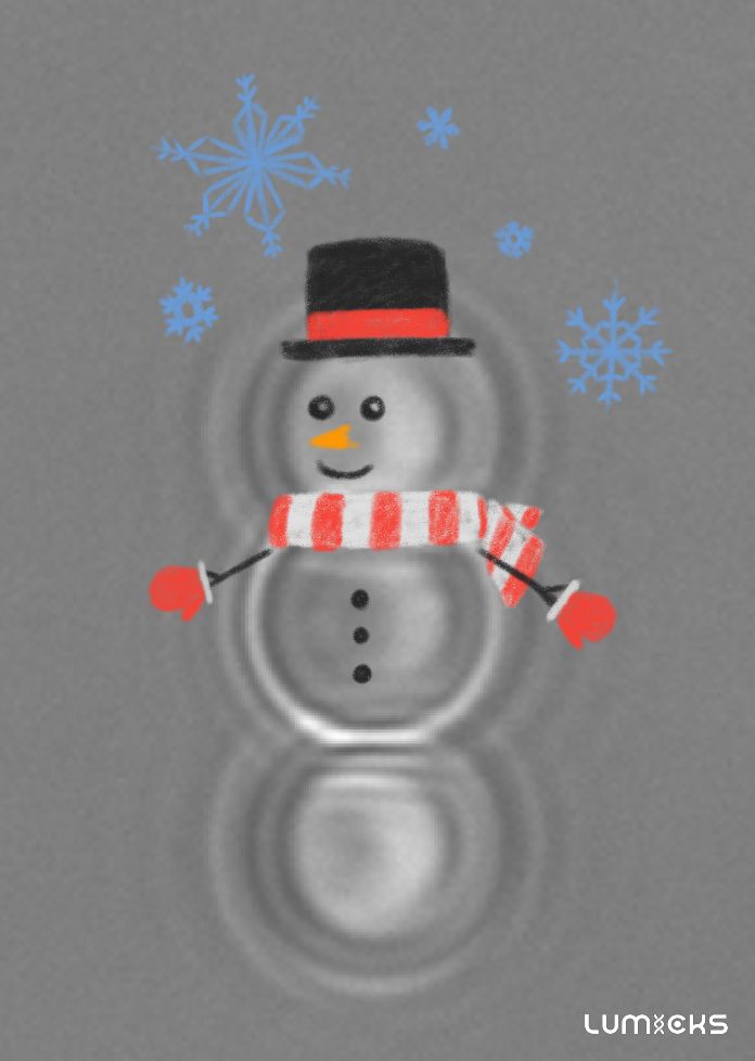 Say hello to Beady the Snowman! ⛄️🔬 Beady has all the right elements for a scientific snowman - precision, stable, and a keen sense of curiosity!

Happy new year to creativity in the lab and the unexpected joy it can bring! ❄️❤️

#CTrapSnowman #happynewyear