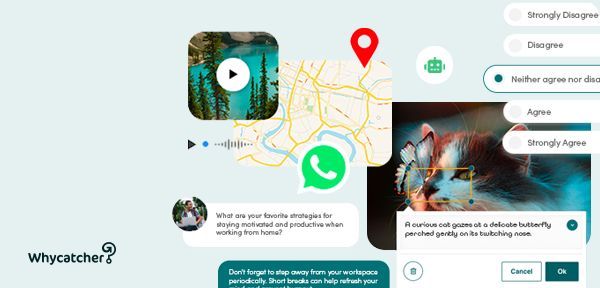 Whycatcher tweet media