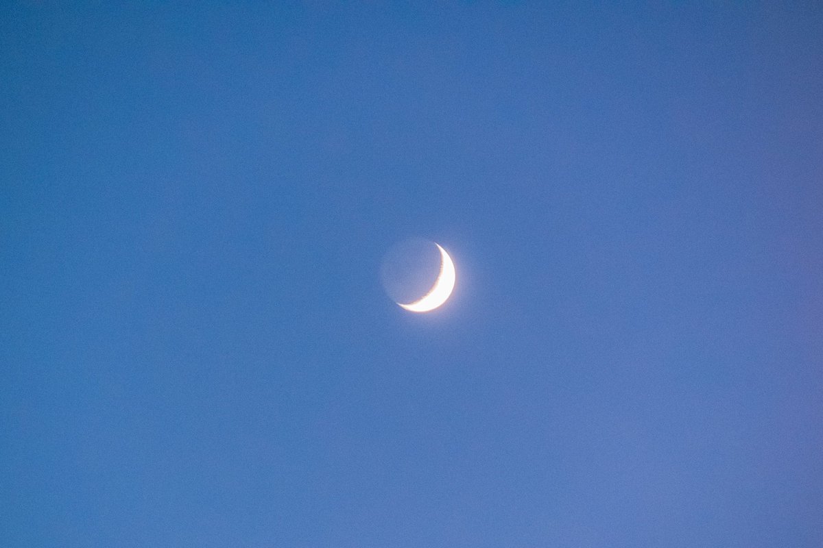 akinecoco987's tweet image. お空の物語。