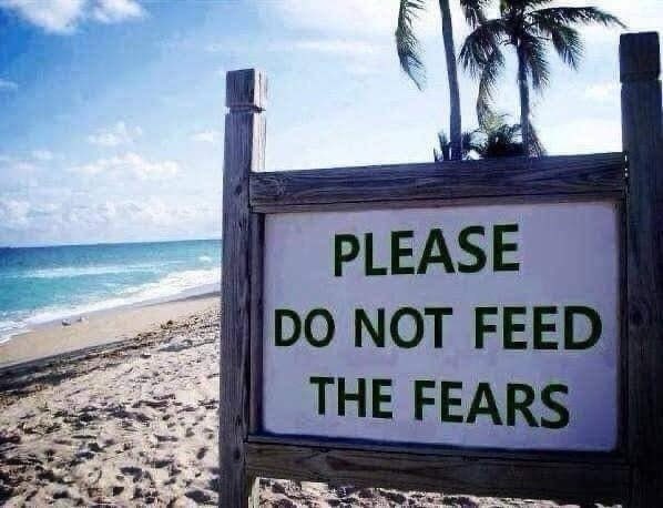 helmetshots's tweet photo. Get TF off the dead bird and join the Resistance at Threads 

It was peaceful for months but now the idiots that you continuously argue with are trying to invade our new zen area and we’re just BL🚫CKING the sh!t out of them 

We should have blocked them with @Jack https://t.co/nkkfcX7cap