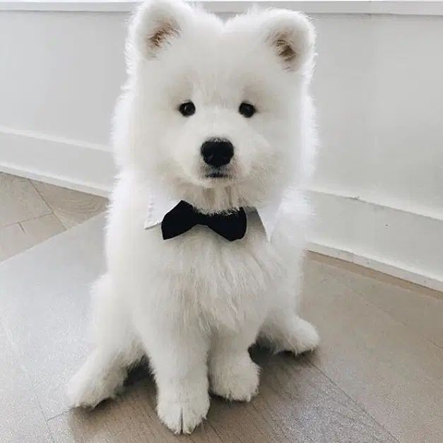 𝙉𝙤.𝟗 tweet media