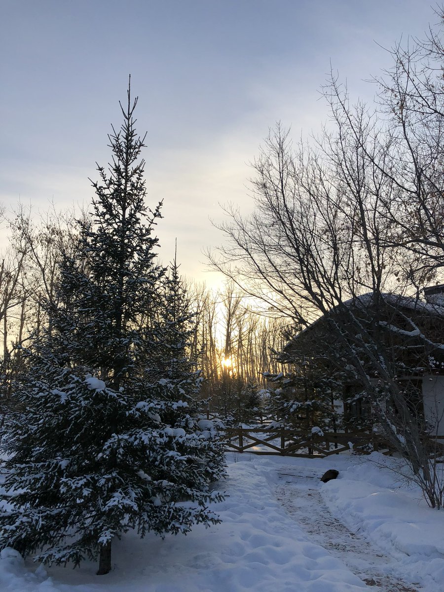 Minuarov's tweet photo. Recharging &amp; getting my mind, body &amp; soul right for a fresh new week. 

Ready to bring this renewed energy into 2024. 
#Karagandy #Qazaqstan https://t.co/2AmskZpghw
