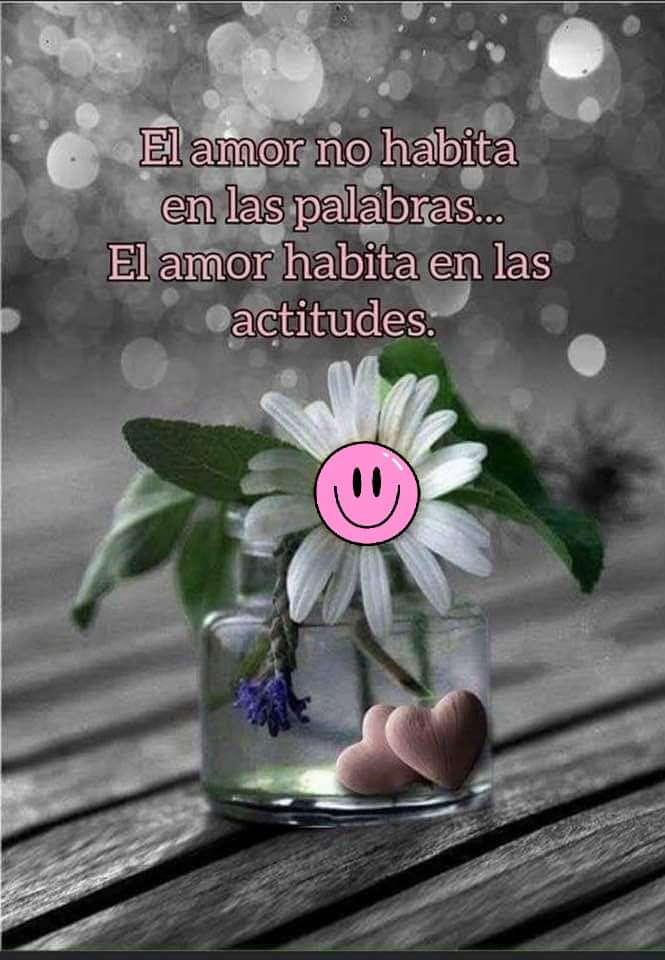 VidaEquilibrada (@vidaequilibrad4) on Twitter photo 