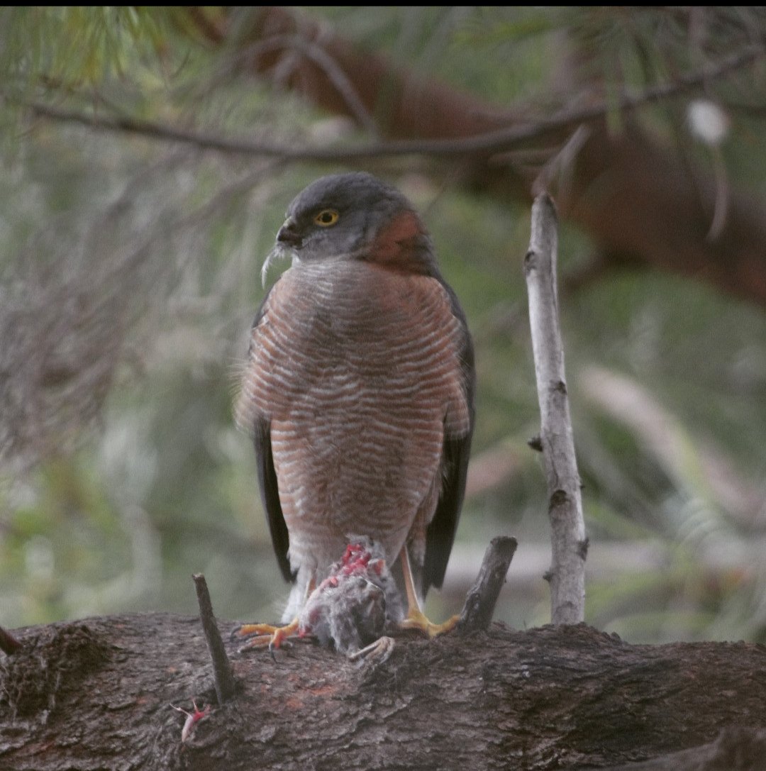 andytuna tweet media