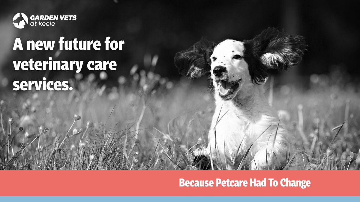 Unlock peace of mind and a lifetime of wellness for your furry friend with our complete vet subscription plan, catering to all your pet's needs.

bit.ly/3RXtLTI 

#petcareprovider #healthypets #stokeontrent