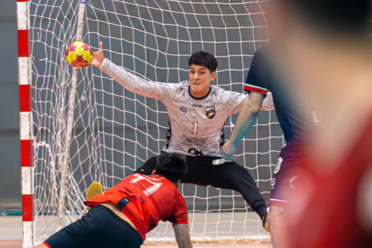 MetHandballCLub's tweet photo. 🐆🙏🏻Terminó la Fase Final de la Liga BM 🇨🇱 y nuestro equipo adulto terminó en la 4ta posición 🔥.

📸 de Vidova_Deportes y Stgo Rodrigo 
#GoMet #Handball #Balonmano https://t.co/YmLezQ0v3a