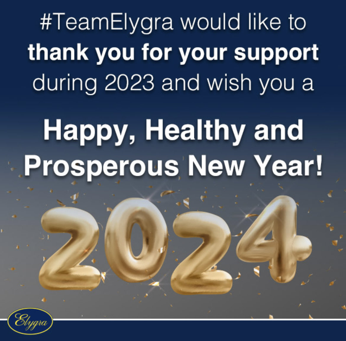 Elygra Marketing (@elygramarketing) on Twitter photo 2024-01-02 10:21:54