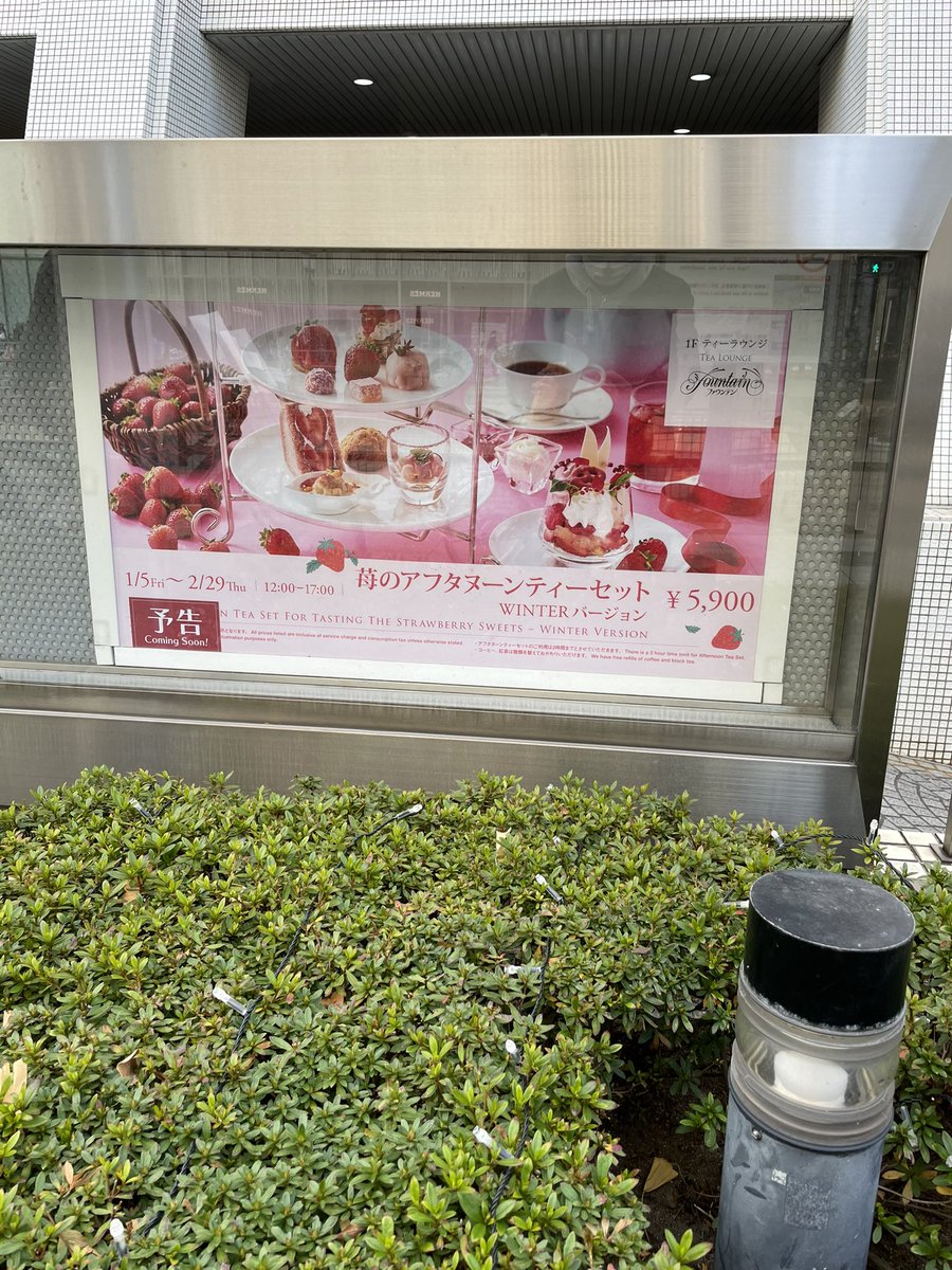 一緒に甘々を募集中🤭✨