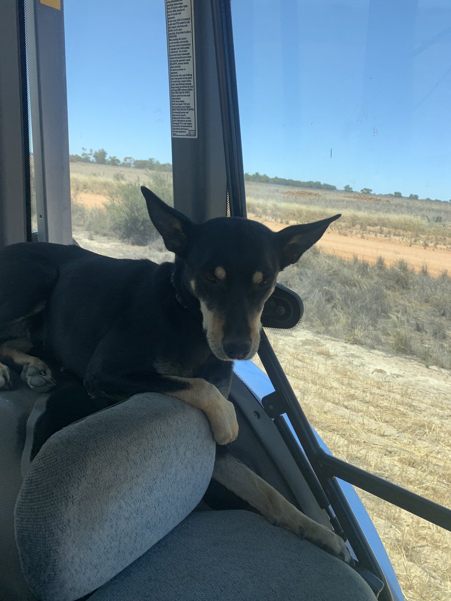 The Harvest Photo competition is closed. Entries will be judged by the committee and winners will be announced Monday 8th of Jan