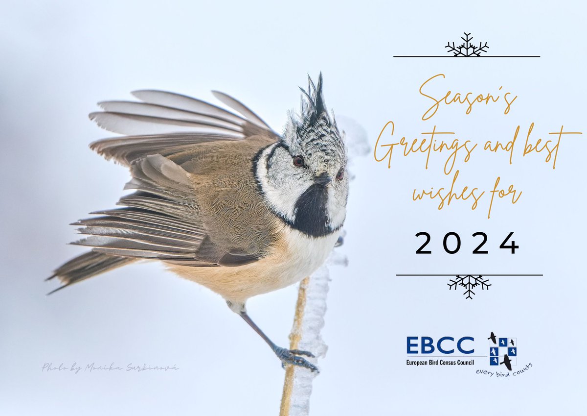 European Bird Census Council (@_EBCC) on Twitter photo 2024-01-02 10:34:04