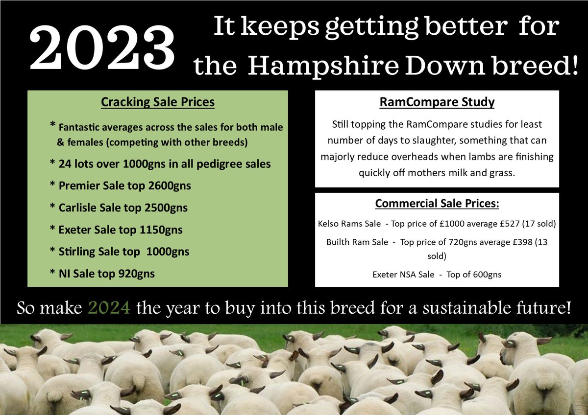 Happy New Year and if you want to make 2024 'prosperous' then why not get a Hampshire :)