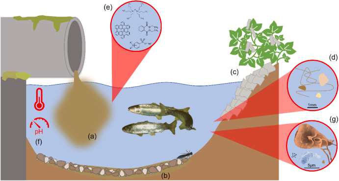 What a start to the New Year! Our review, 'Addressing the challenges of combined sewer overflows', has been published in Environmental Pollution: bit.ly/3tGFNXV. If you're interested in the release of untreated sewage into the natural environment, it's worth a read! 🧵👇