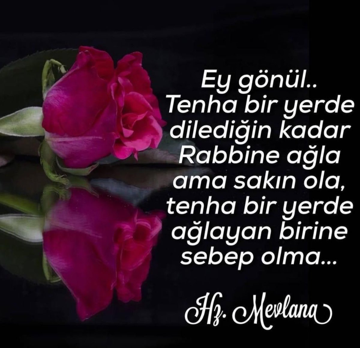 Hz.Mevlana💐