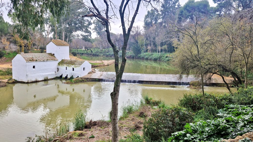 HuellasSevilla's tweet photo. Maravilloso paseo ayer para inaugurar el año por los molinos de Alcalá de Guadaira, de época islámica y bajomedieval.
Este Molino de rodezno de Benarosa conserva la toponimia andalusí (Banu Arusa), y es anterior al s. XIII.
Más información histórica 👇
https://t.co/pvCjBJR5n0 https://t.co/guHHxWO2du