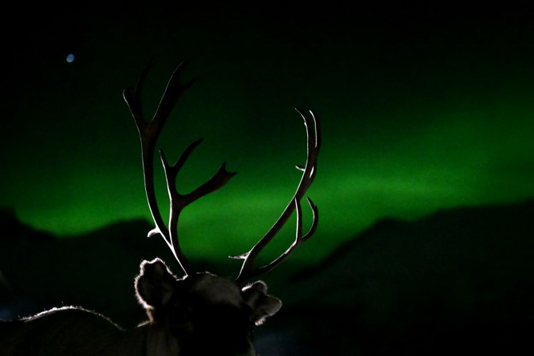 AFPphoto's tweet photo. #Norway - Northern lights or aurora borealis illuminate the sky above a Sami camp.
📸 Sergei Gapon #AFP https://t.co/gn03hIudT5