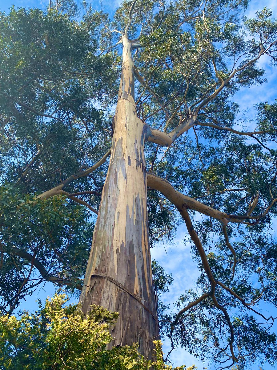 Sean tooker tweet media