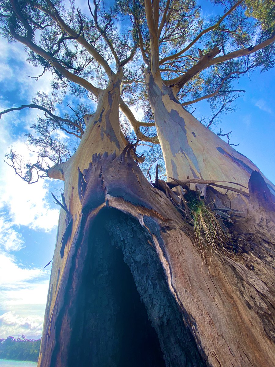 Sean tooker tweet media