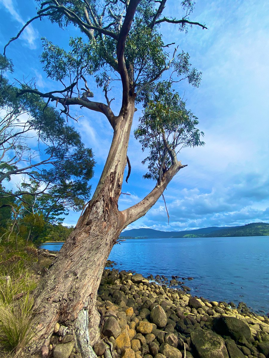 Sean tooker tweet media