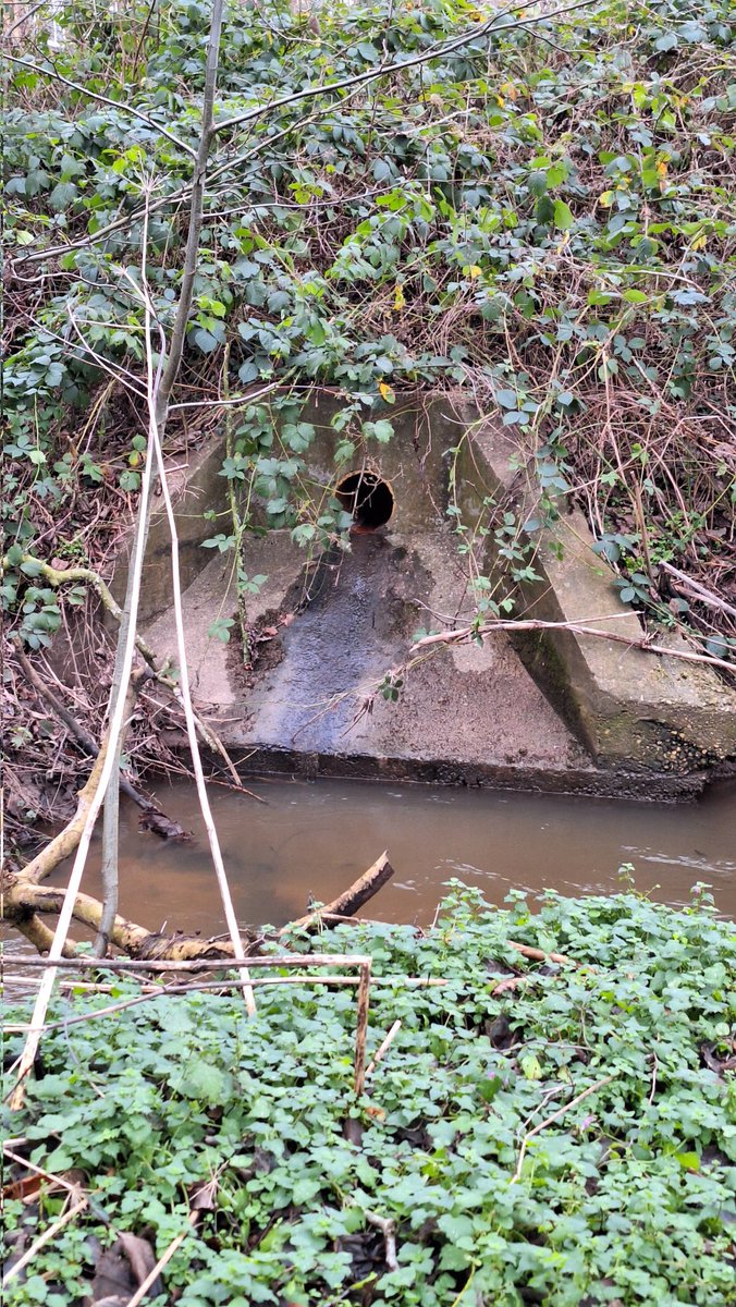 Happy New Year! #RateMyCulvert