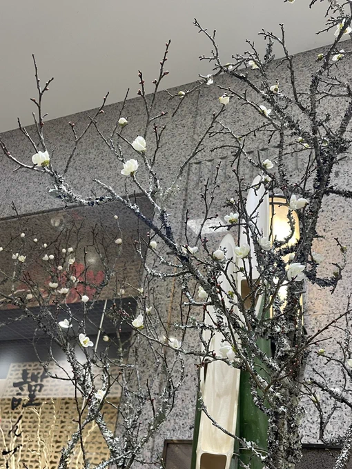 京都の百貨店のお正月