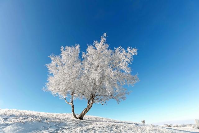 寒冬时节，内蒙古自治区赤峰市克什克腾旗的草原白雪皑皑，银装素裹，呈现出独特的冬日美景。