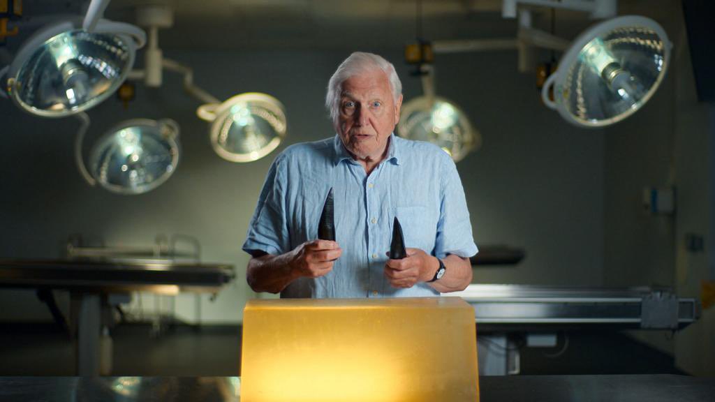 UoB Palaeobiology (@bristolpalaeo) on Twitter photo Have you seen āAttenborough and the Giant Sea Monster yet? Make sure you check out BBC iPlayer to see our <a href="/BristolUni/">University of Bristol</a> Professor <a href="/jemilyr/">Emily Rayfield</a> and Dr <a href="/AndreJRowe/">Andre Rowe</a> talk about a new Pliosaur. We also had Dr <a href="/TIPollock/">Dr Tahlia Pollock</a> and Dr Judith Sassoon helping out behind the scenes! Have you seen āAttenborough and the Giant Sea Monster yet? Make sure you check out BBC iPlayer to see our <a href="/BristolUni/">University of Bristol</a> Professor <a href="/jemilyr/">Emily Rayfield</a> and Dr <a href="/AndreJRowe/">Andre Rowe</a> talk about a new Pliosaur. We also had Dr <a href="/TIPollock/">Dr Tahlia Pollock</a> and Dr Judith Sassoon helping out behind the scenes!