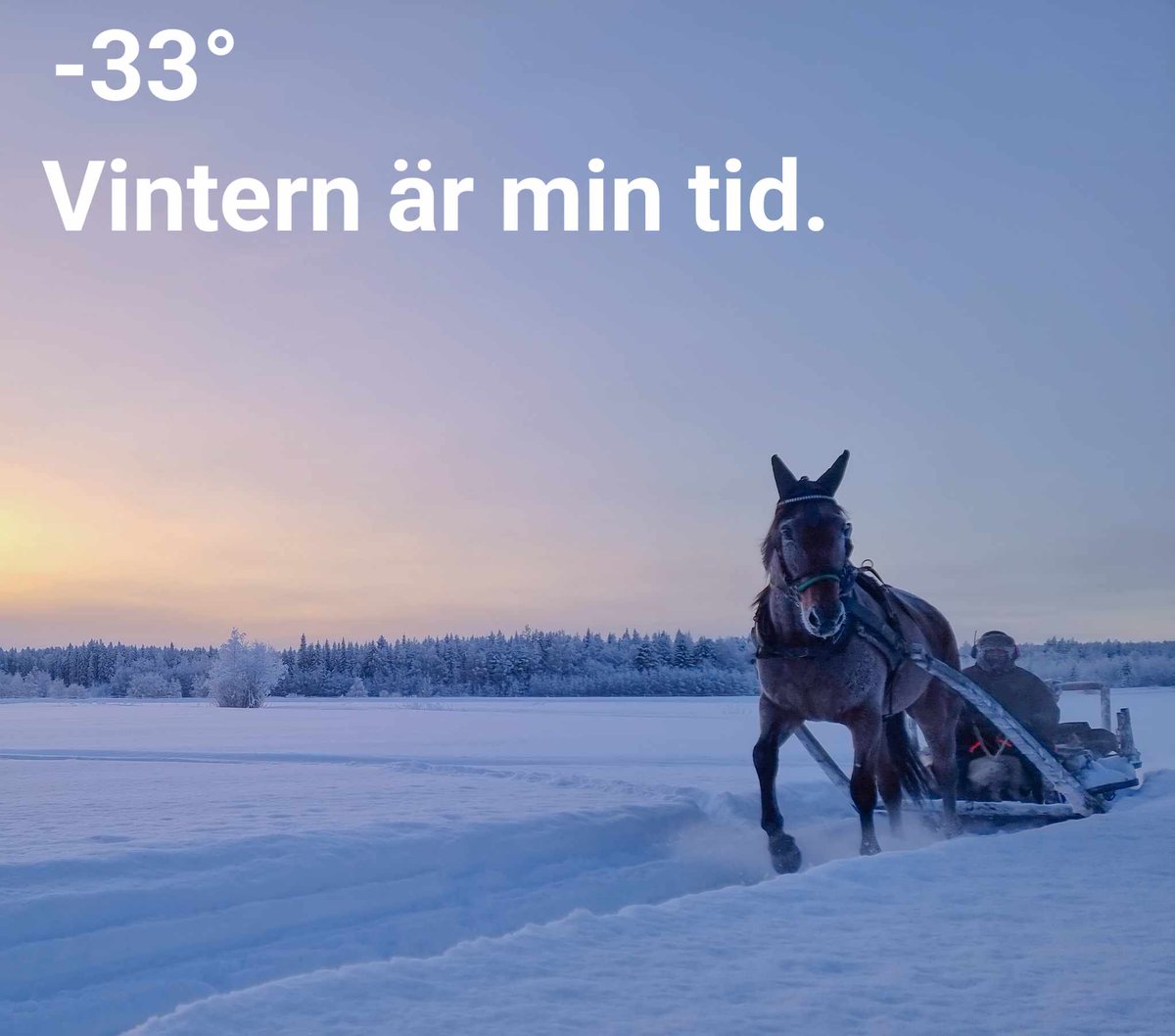 Roger Nilsson (@kingoflapps) on Twitter photo 