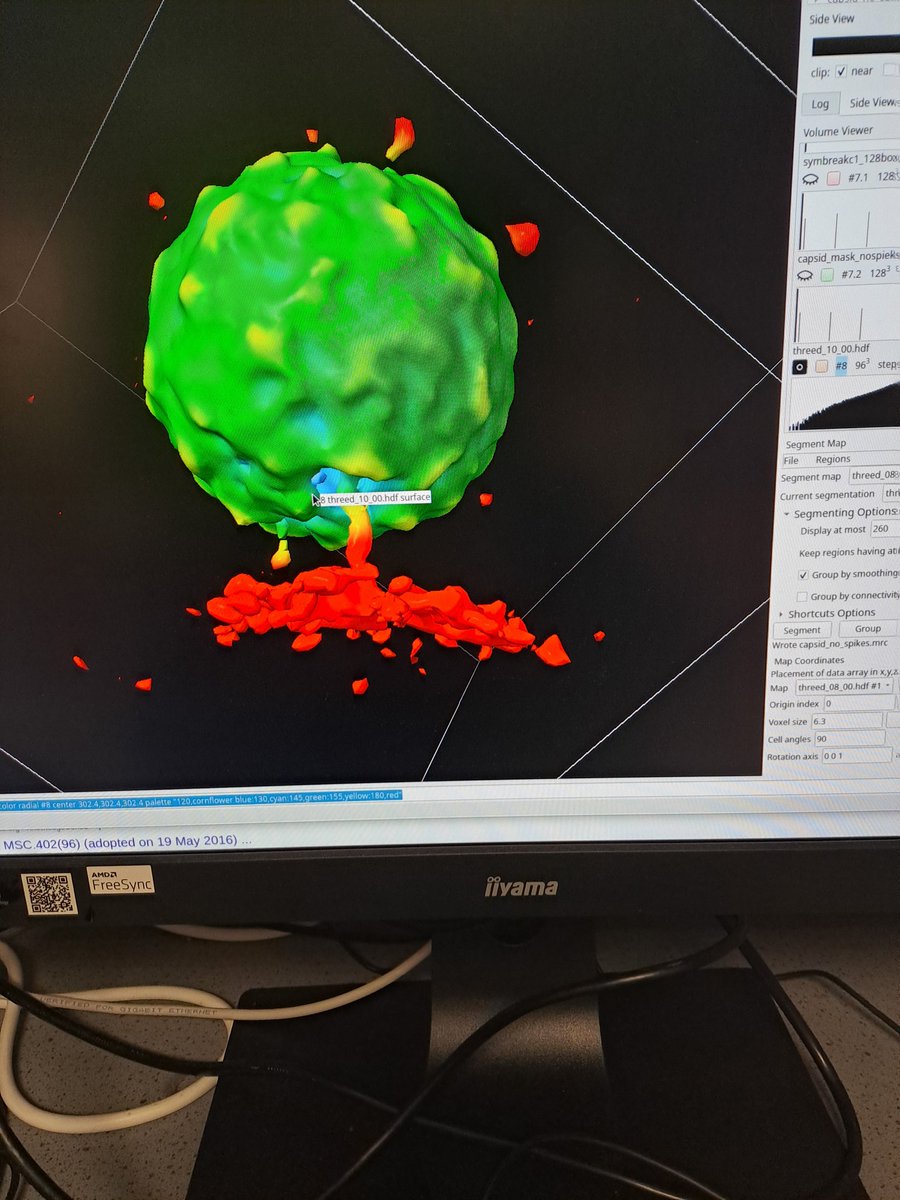 #cryoEM #cryoET #virus and #phage assembly PhD project at @YSBL_York under my cosupervision, apply by the end of tomorrow findaphd.com/?pj=164040